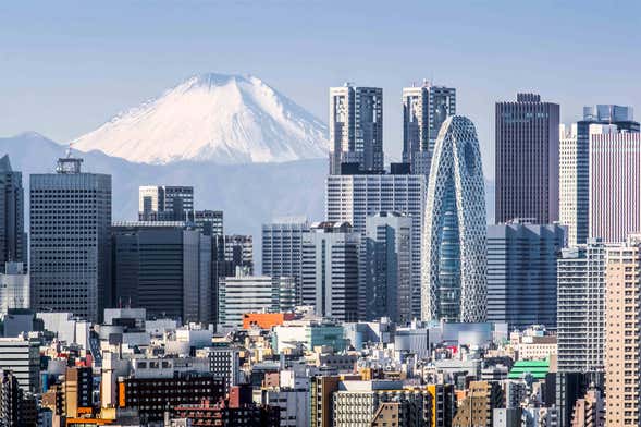 9-day Tour of Japan