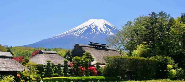 Day Trip to Mount Fuji, Lake Ashi, & Kamakura