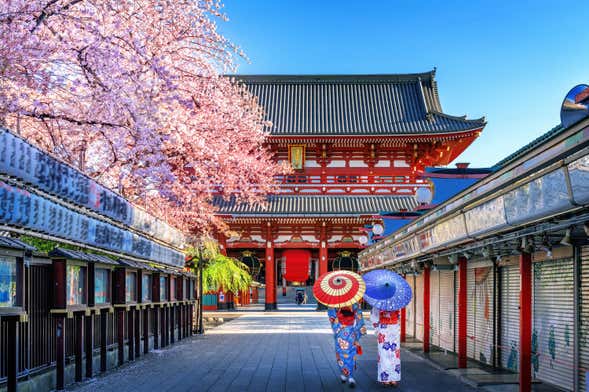 Asakusa Free Walking Tour
