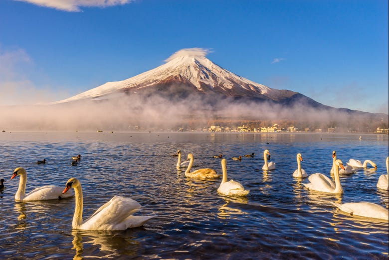 Natural landscapes of Mount Fuji