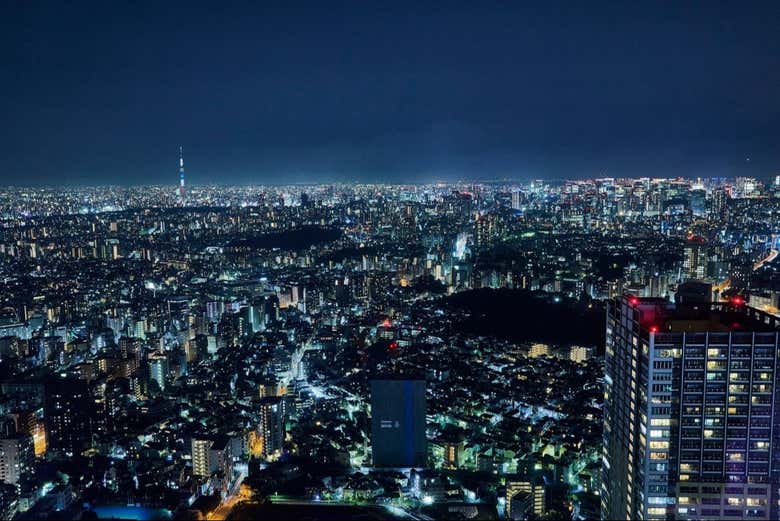 Marvel at Tokyo at night from this lookout