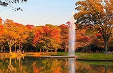 Tokyo Travel Guide