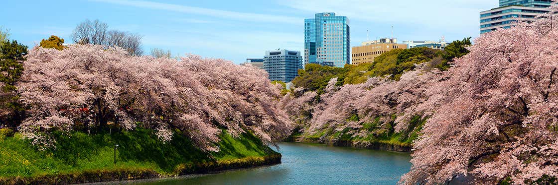 Weather in Tokyo - Climate and temperature in Tokyo